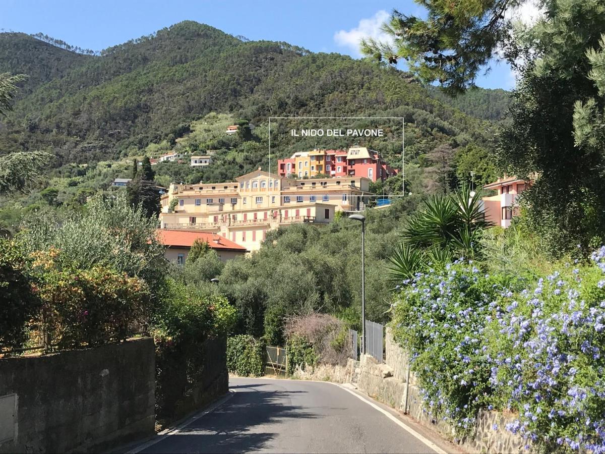 Il Nido Del Pavone Apartment Monterosso al Mare Exterior photo